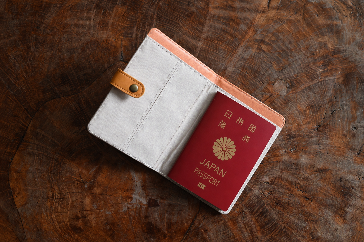 My Neighbor Totoro Passport Case | Travel Wallet - Nostalgia Sketches Series | Fragment Case - Studio Ghibli
