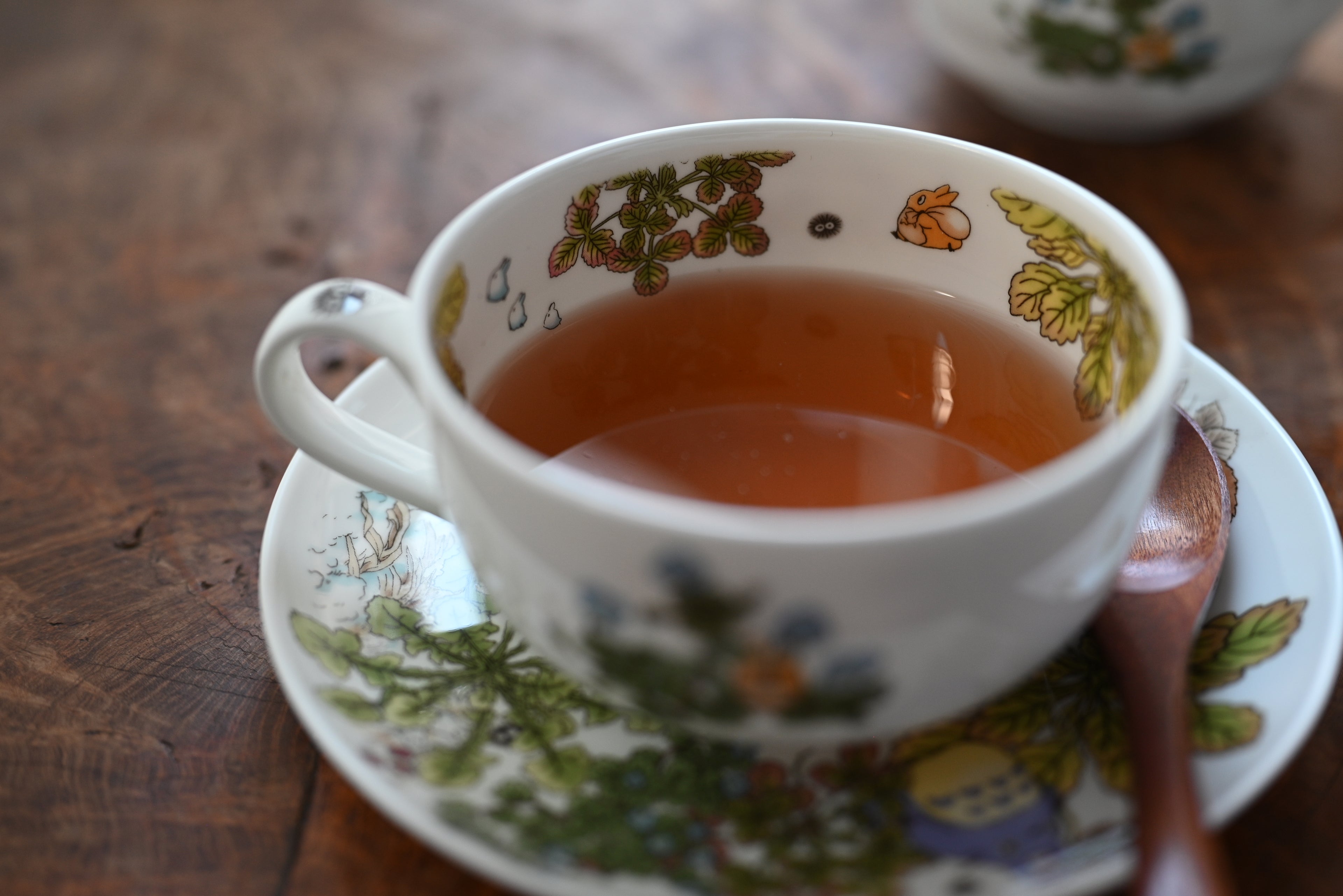 Studio Ghibli My Neighbor Totoro Teacup & Saucer - Speedwell