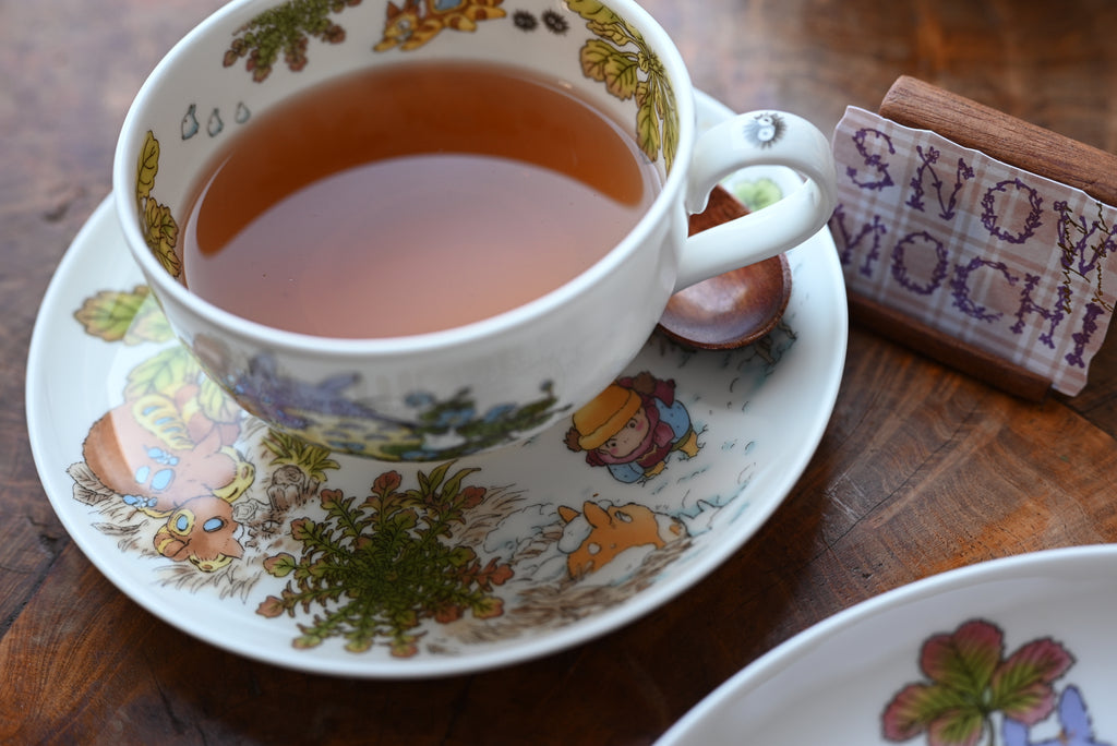 Studio Ghibli My Neighbor Totoro Teacup & Saucer - Speedwell