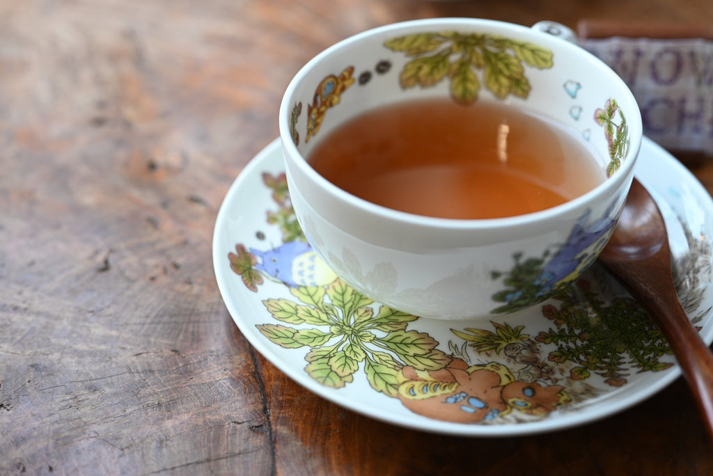 Studio Ghibli My Neighbor Totoro Teacup & Saucer - Speedwell