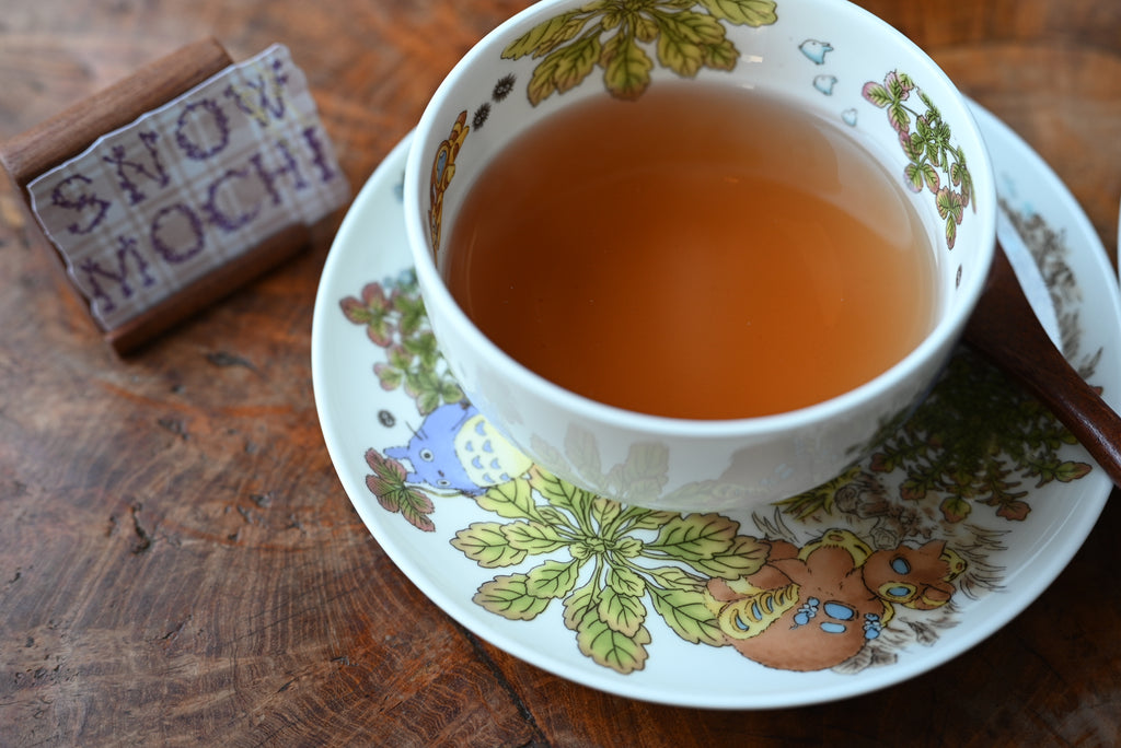 Studio Ghibli My Neighbor Totoro Teacup & Saucer - Speedwell