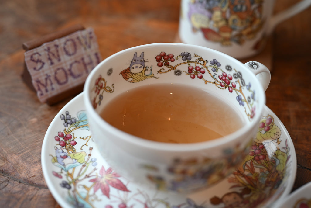 Studio Ghibli My Neighbor Totoro Teacup & Saucer - Greenbrier