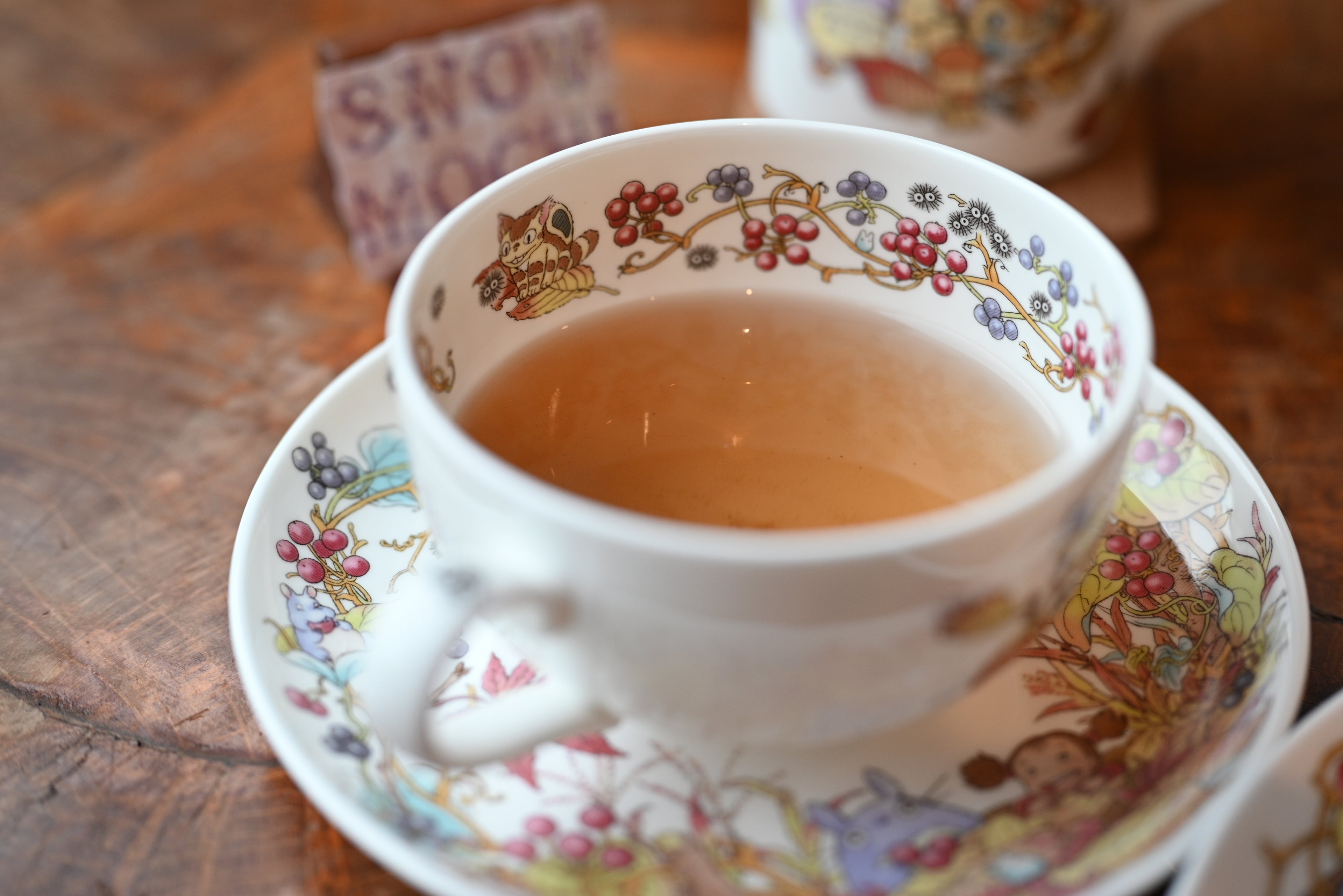 Studio Ghibli My Neighbor Totoro Teacup & Saucer - Greenbrier