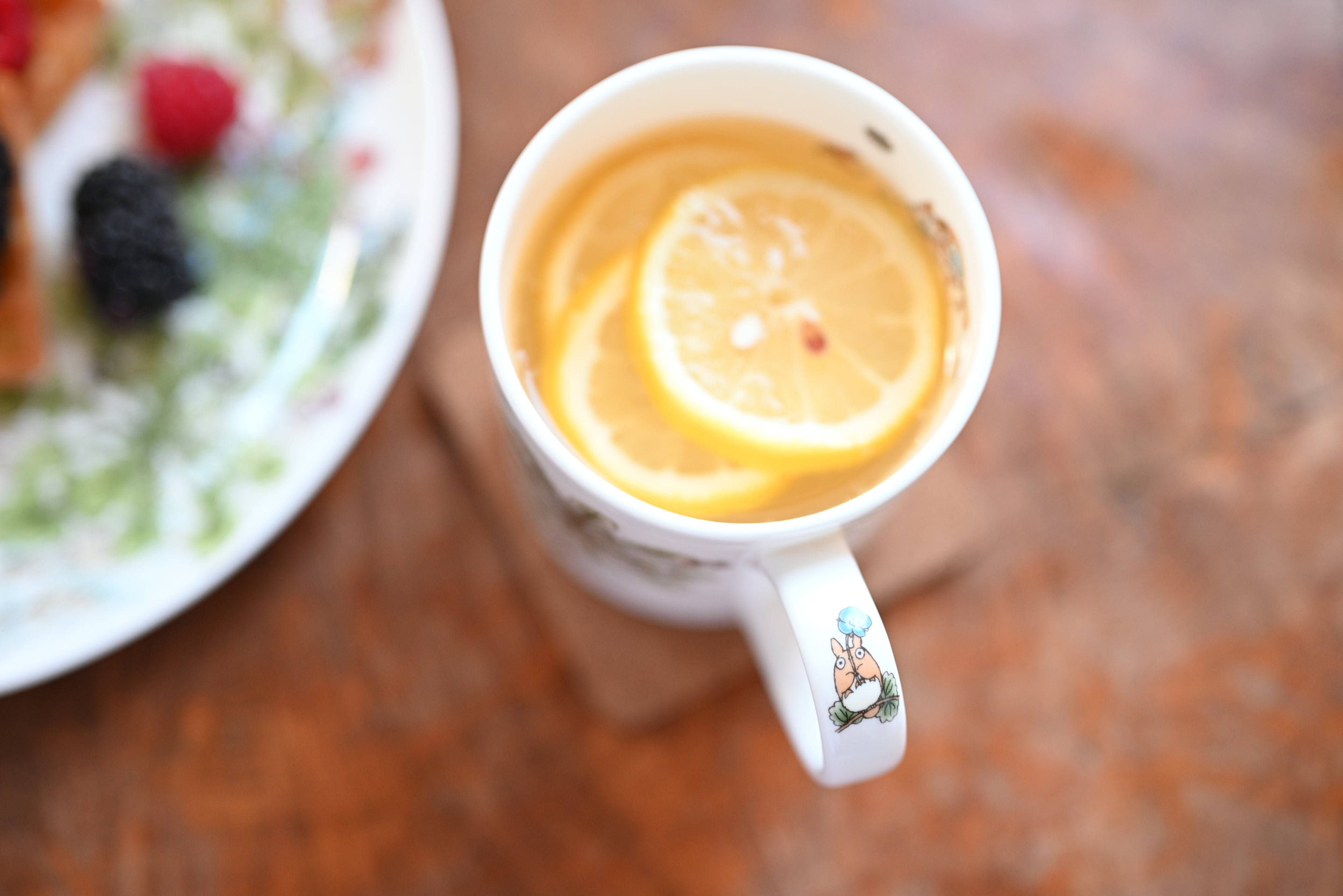 My Neighbor Totoro Bone China Mug |Speedwell
