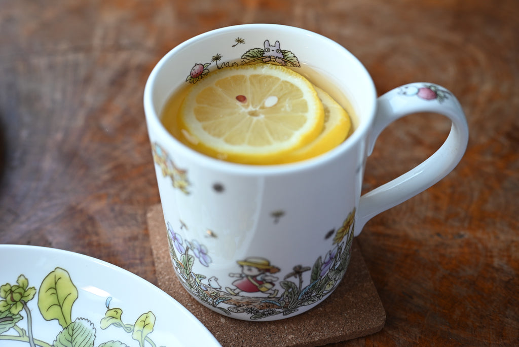 My Neighbor Totoro Bone China Mug | Strawberries