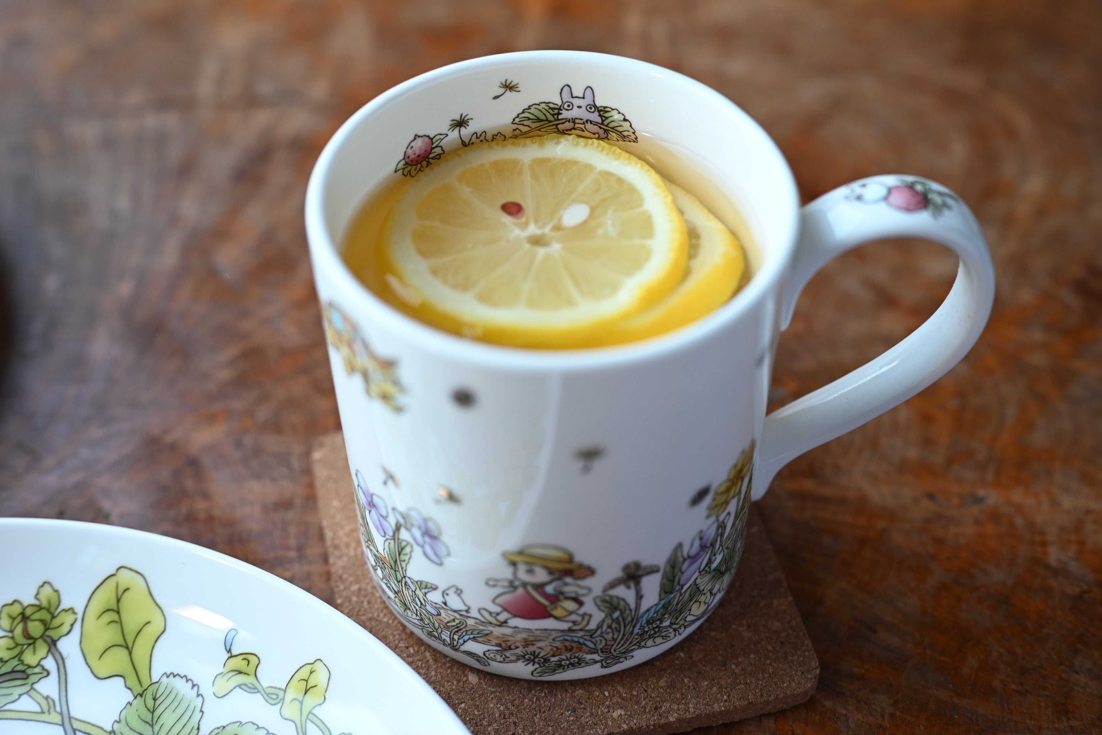 My Neighbor Totoro Bone China Mug | Strawberries